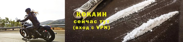трава Бородино