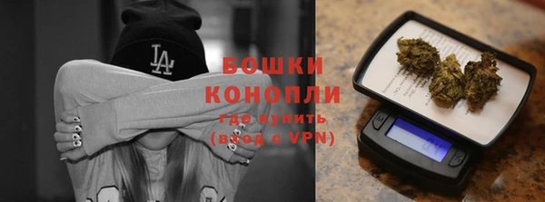 спиды Богородск