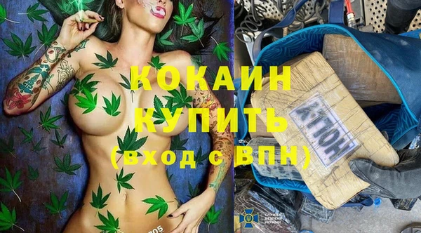 трава Бородино