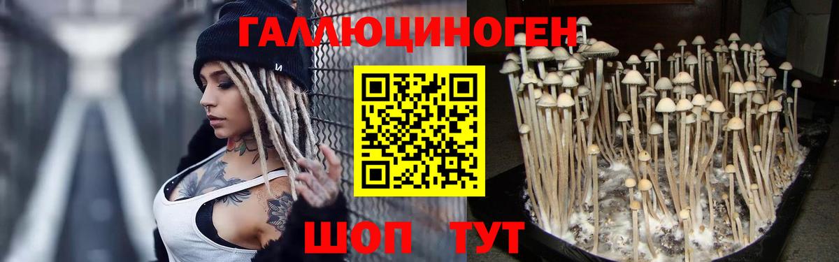 Псилоцибиновые грибы MAGIC MUSHROOMS  Вход с VPN  купить наркоту  Кстово  Псилоцибиновые грибы мухоморы 
